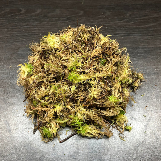 2.5l spagnum moss 2.5l (live tropical terrarium moss)