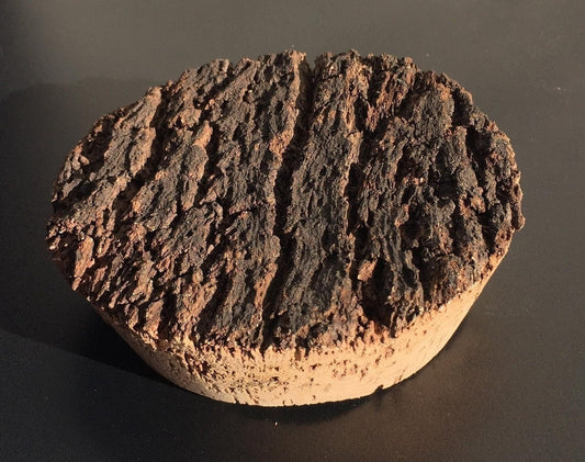 Bark topped cork terrarium lid (bottom diameter approx 139mm)