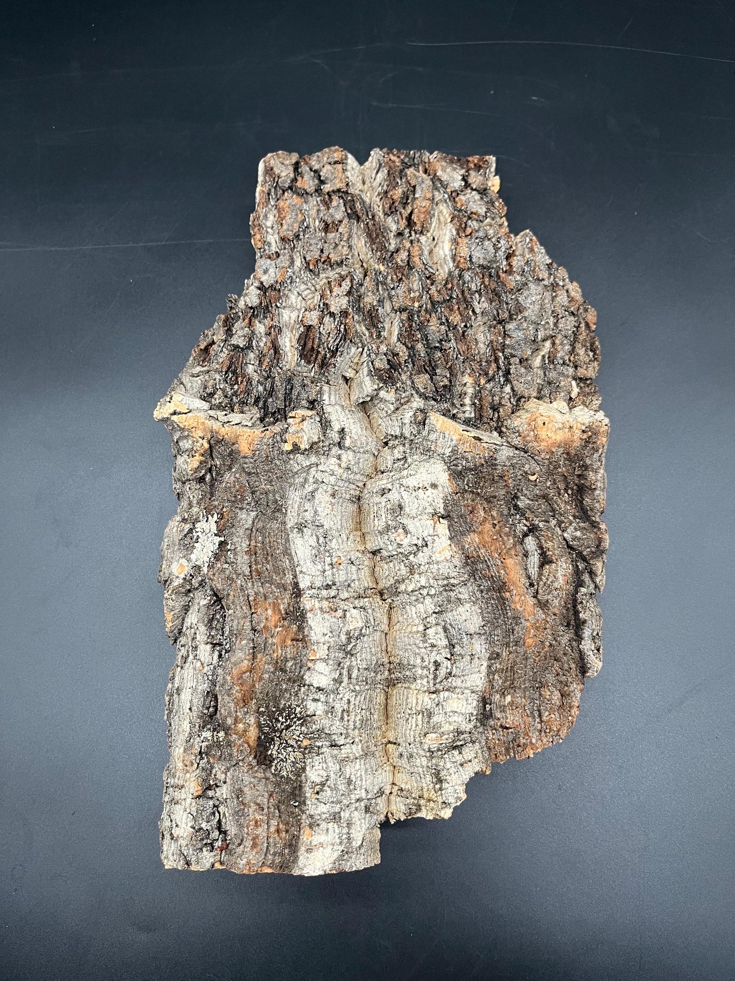 5x Natural cork bark panels 30x22x12cm (terrarium hardscape)