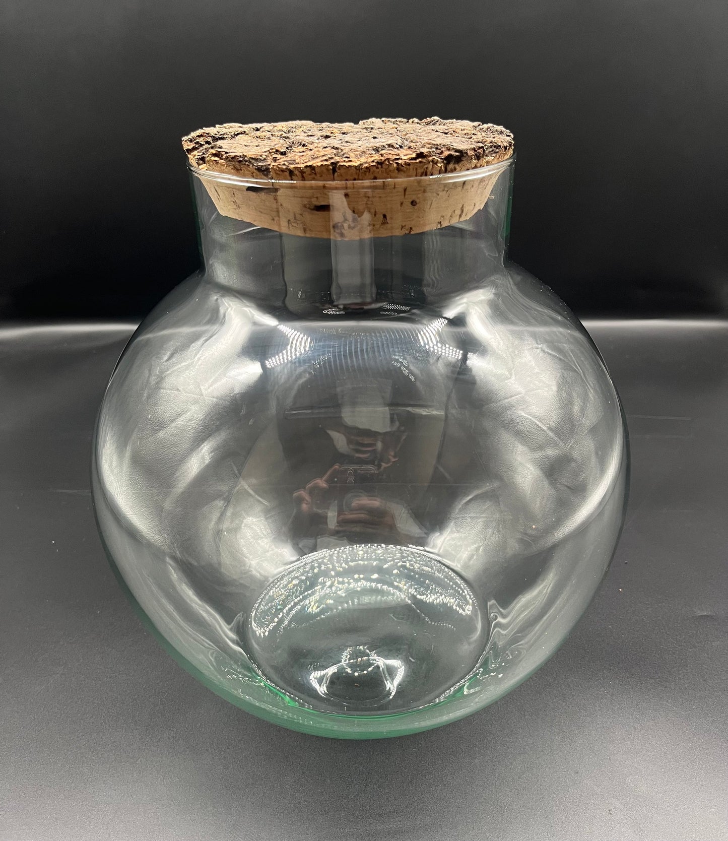 Rustic glass ball terrarium with bark top cork lid (270mm x 250mm glass)