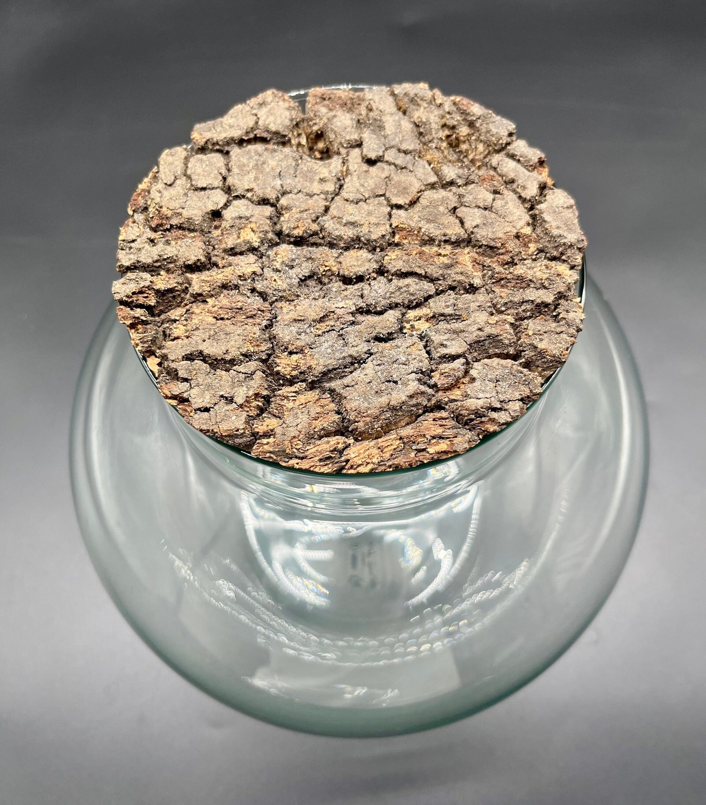 Rustic glass ball terrarium with bark top cork lid (270mm x 250mm glass)