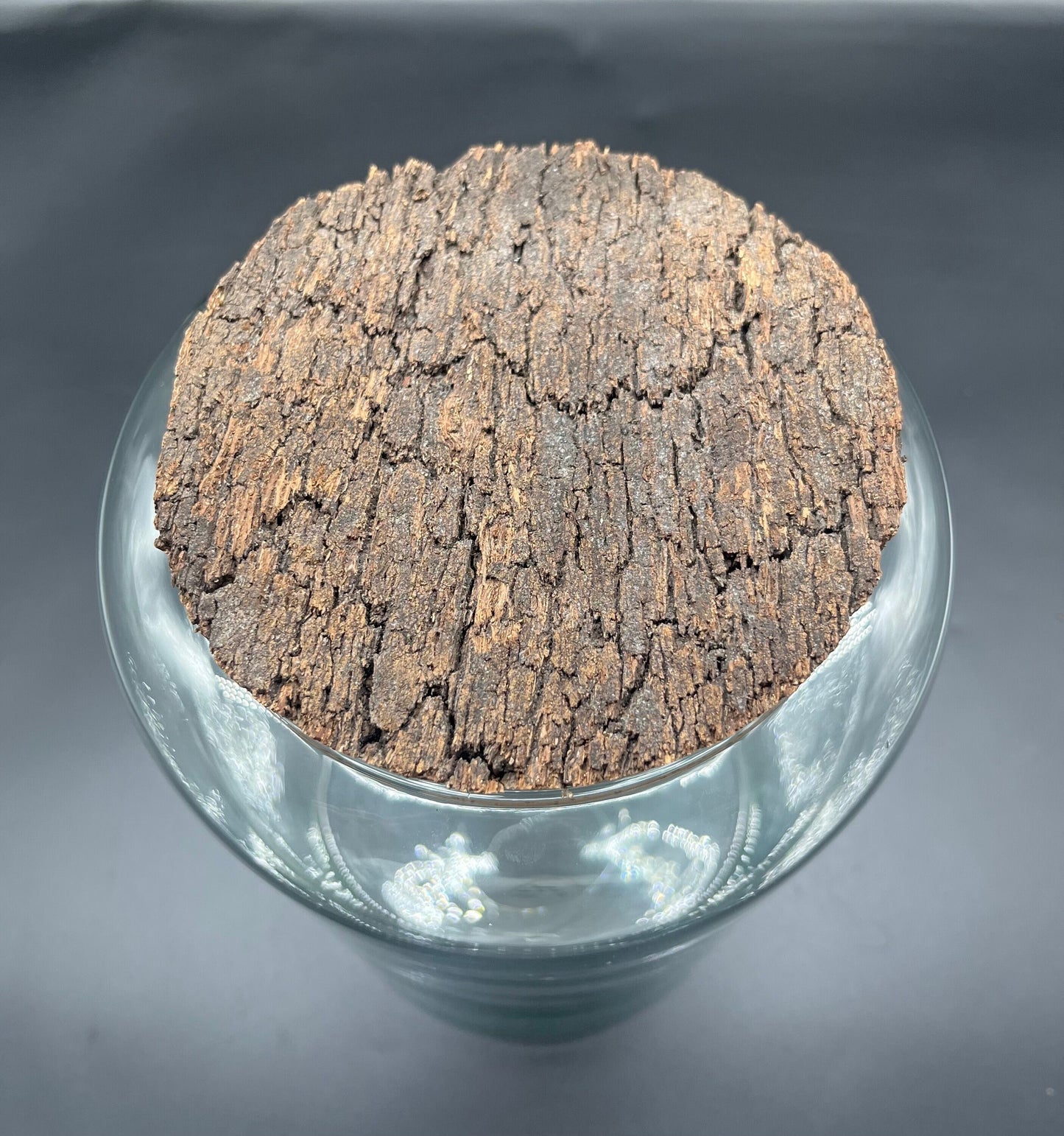 Rustic glass tall terrarium with bark top cork lid (300mm x 190mm glass)