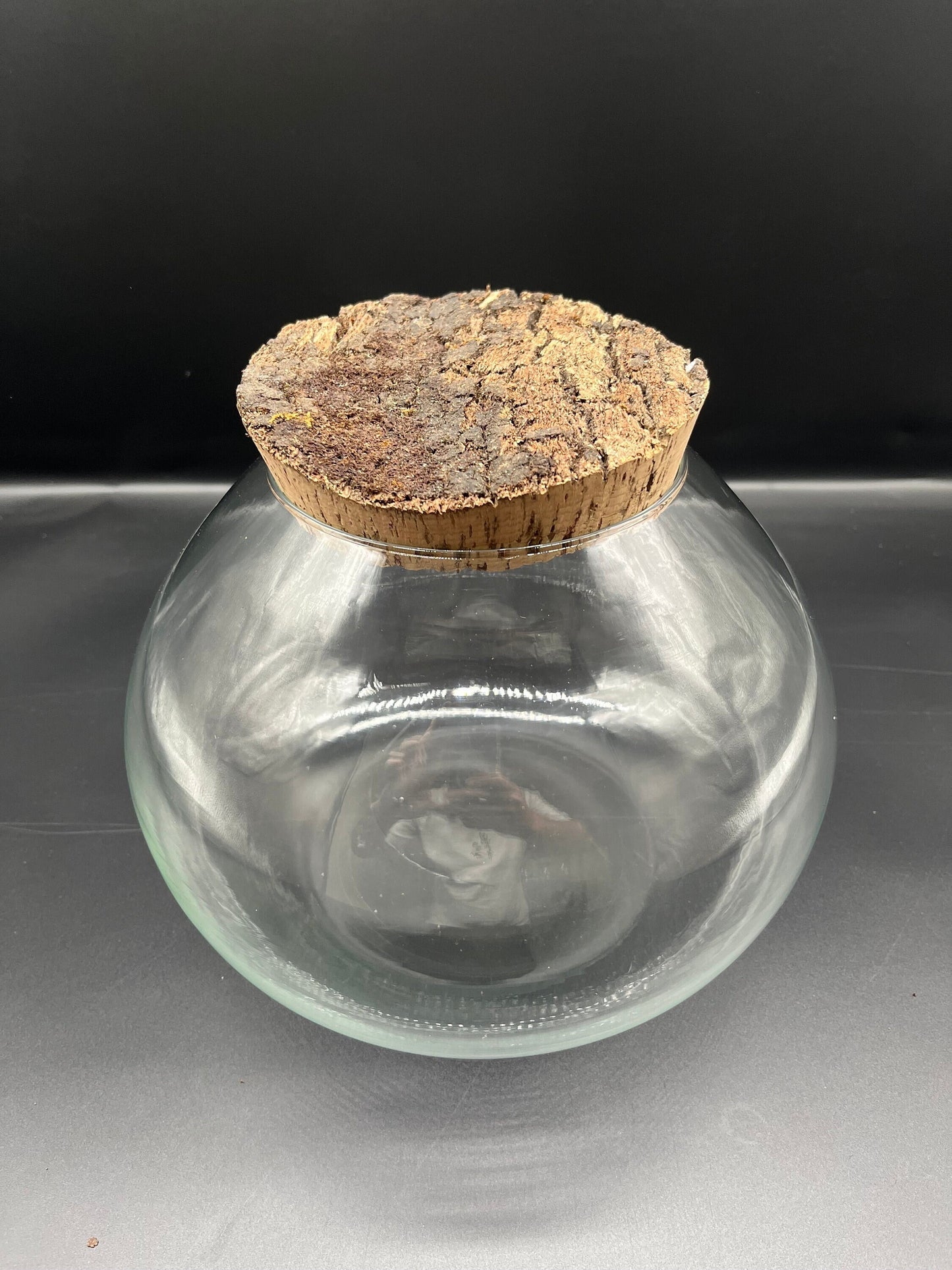 Rustic glass ball terrarium with bark top cork lid (250 x 200mm glass)