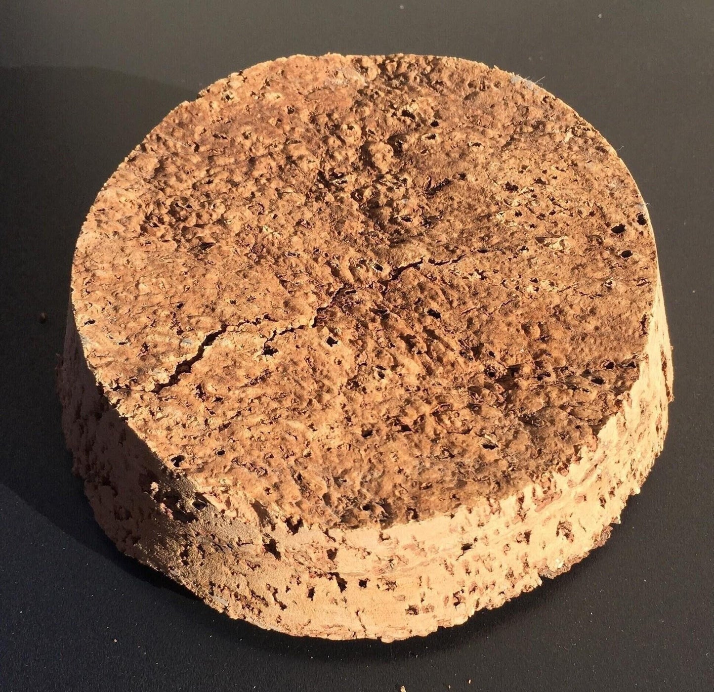 Bark topped cork terrarium lid (bottom diameter approx 106mm)