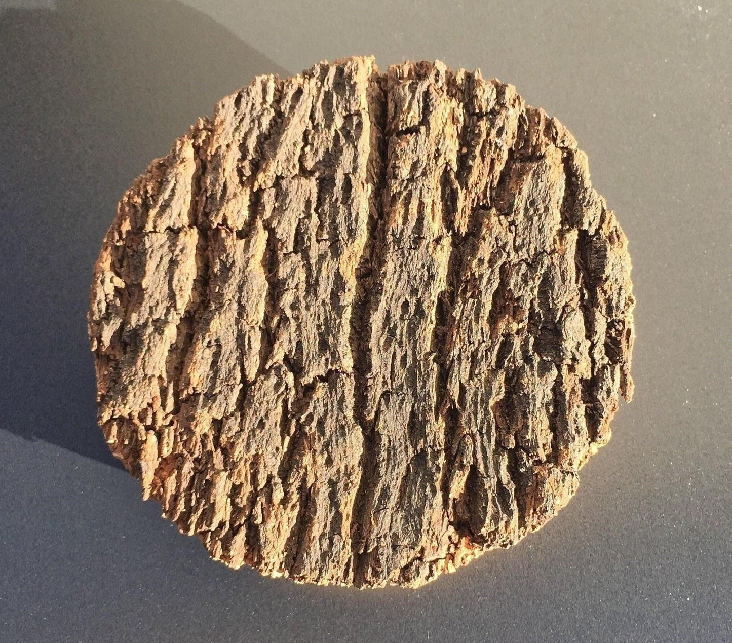 Bark topped cork terrarium lid (bottom diameter approx 101 mm)