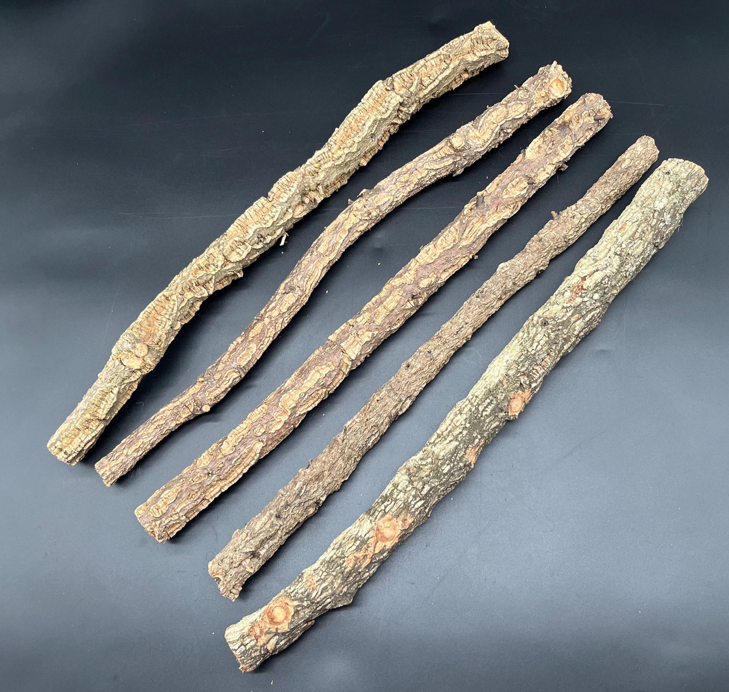 Cork branch 50cm long 5 pack (terrarium hardscape)