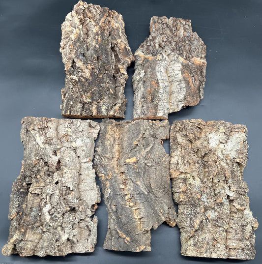 5x Natural cork bark panels 30x22x12cm (terrarium hardscape)