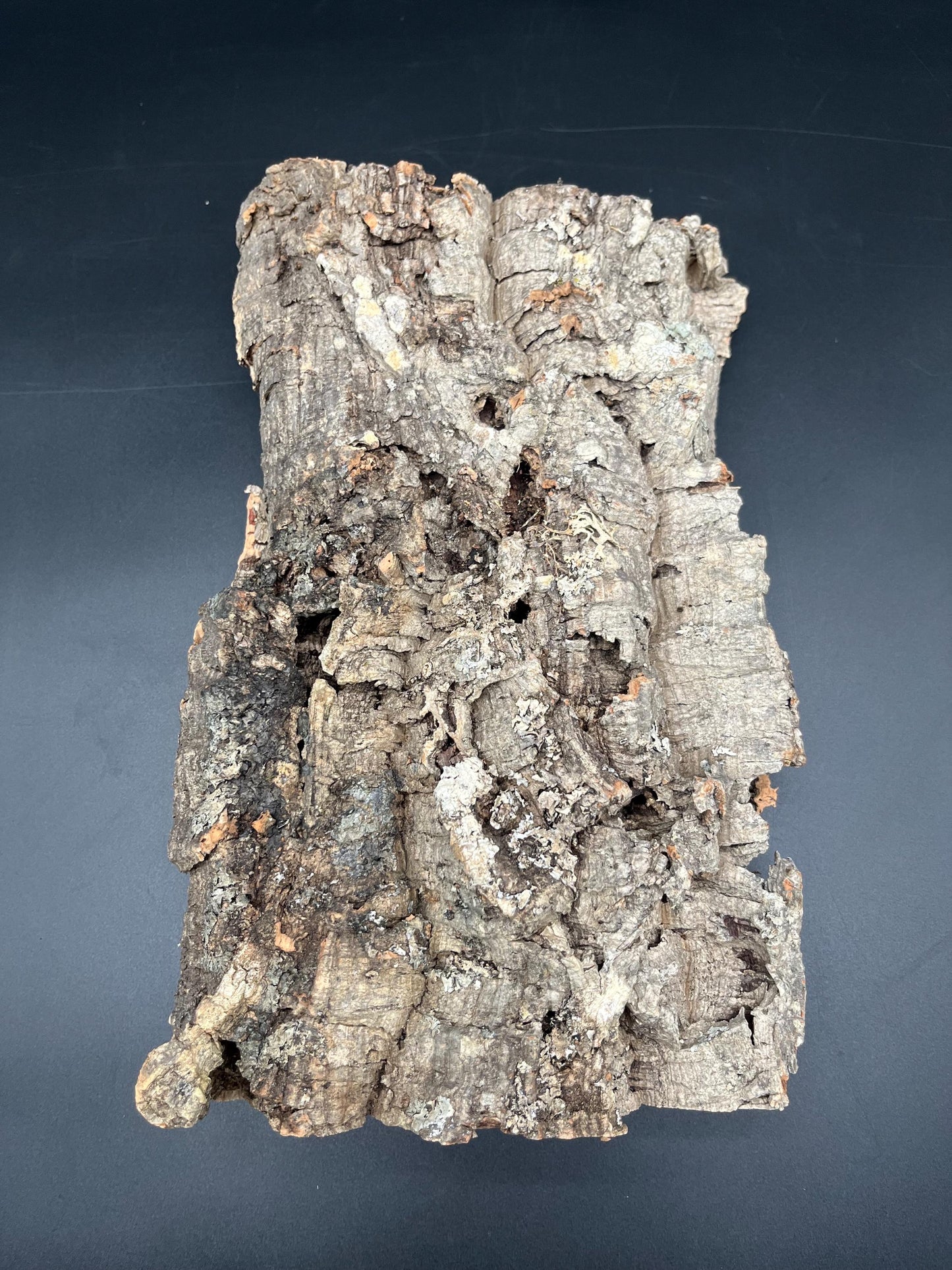 5x Natural cork bark panels 30x22x12cm (terrarium hardscape)