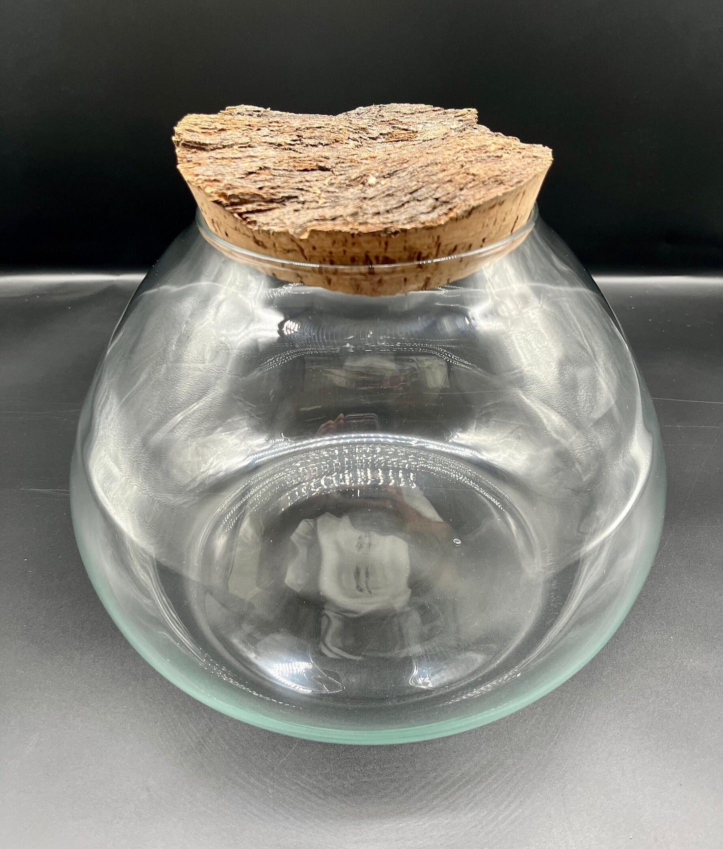 Rare jewel orchid terrarium kit (large) 3x jewel orchids, glass ball terrarium, rustic bark top cork lid + substrates(300 x 220mm glass)