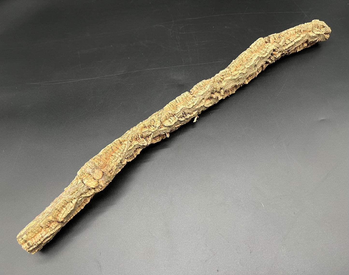 Natural cork branch 50cm (terrarium hardscape)