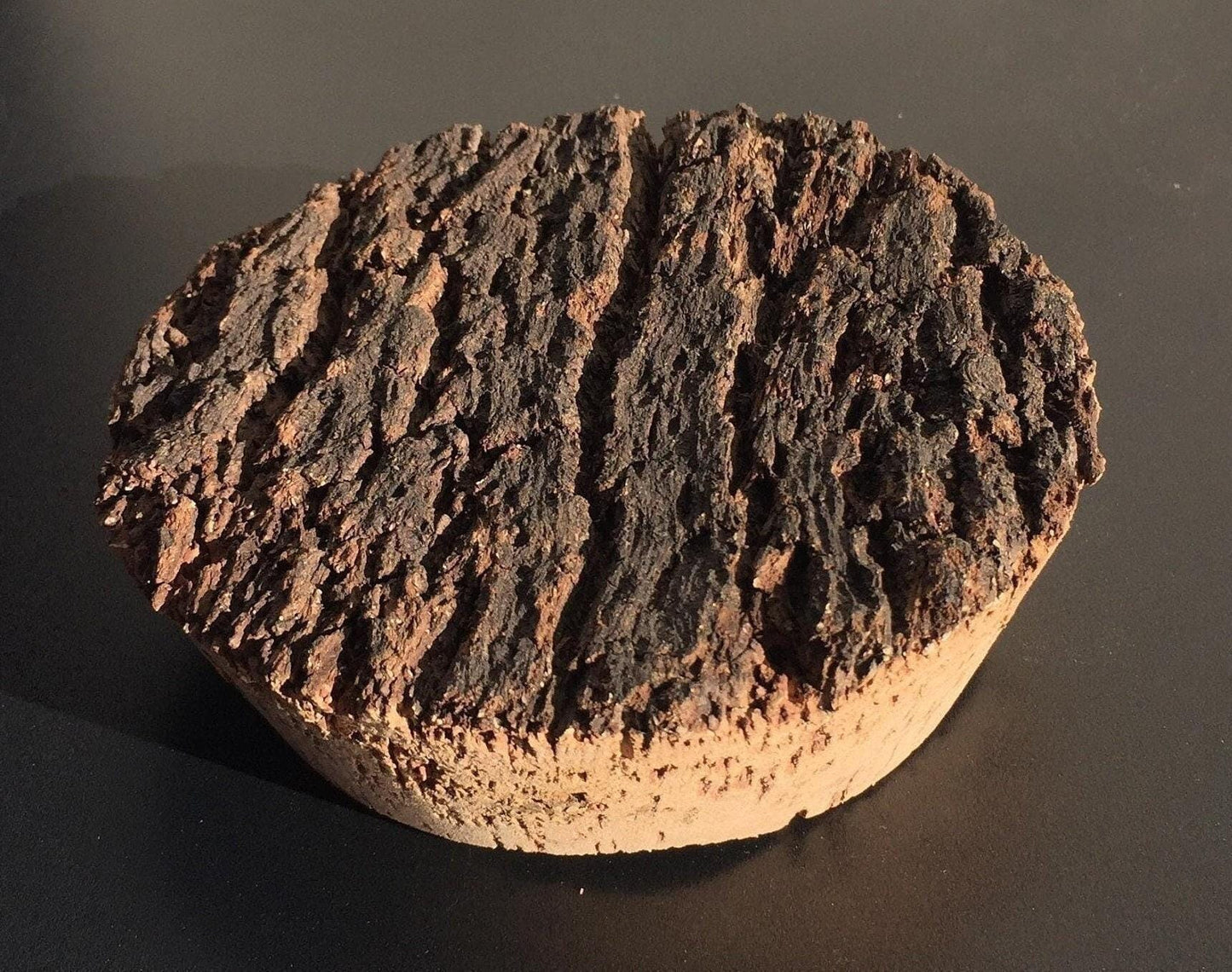 Bark topped cork terrarium lid (bottom diameter approx 127mm)