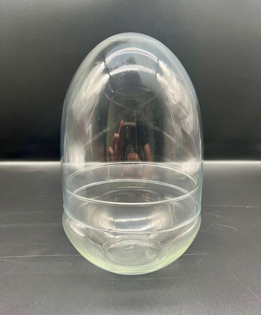 Glass terrarium egg (135mm x 200mm)